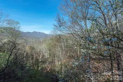145 White Pine Drive, Lake Lure, NC 28746 - Photo 35