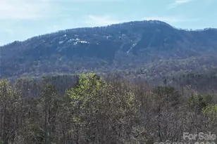 145 White Pine Dr, Lake Lure, NC 28746 - Photo 37