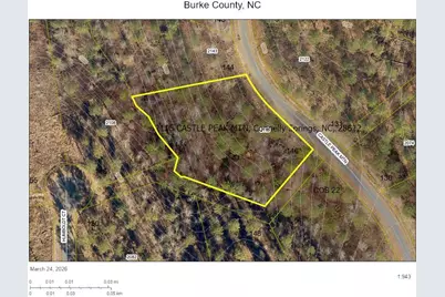 2115 Castle Peak Mountain None #146, Connelly Springs, NC 28612 - Photo 1