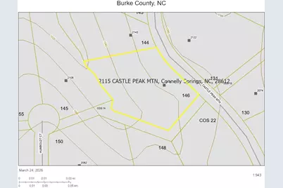 2115 Castle Peak Mountain None #146, Connelly Springs, NC 28612 - Photo 19