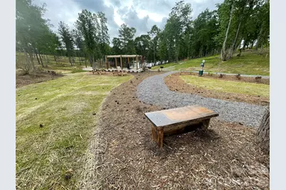 2115 Castle Peak Mountain None #146, Connelly Springs, NC 28612 - Photo 17