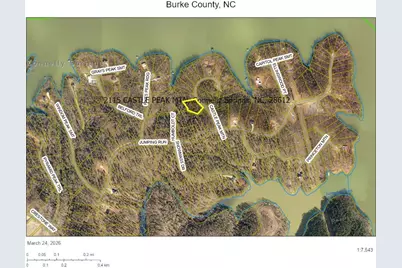 2115 Castle Peak Mountain None #146, Connelly Springs, NC 28612 - Photo 9