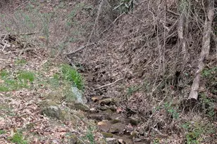 6712 Globe Rd, Lenoir, NC 28645 - Photo 23