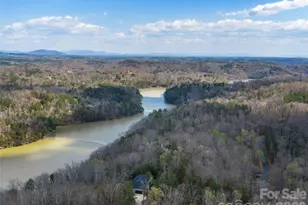 3244 Lake Adger Pkwy, Mill Spring, NC 28756 - Photo 41