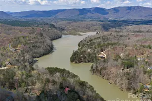 3244 Lake Adger Pkwy, Mill Spring, NC 28756 - Photo 43