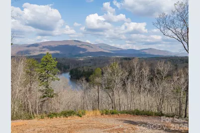 3244 Lake Adger Parkway, Mill Spring, NC 28756 - Photo 33