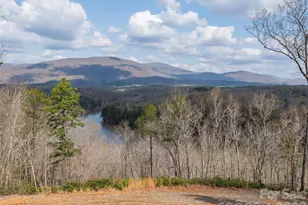 3244 Lake Adger Pkwy, Mill Spring, NC 28756 - Photo 33