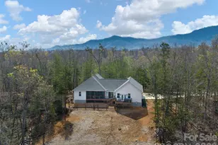 3244 Lake Adger Pkwy, Mill Spring, NC 28756 - Photo 35