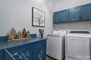 3244 Lake Adger Pkwy, Mill Spring, NC 28756 - Photo 31