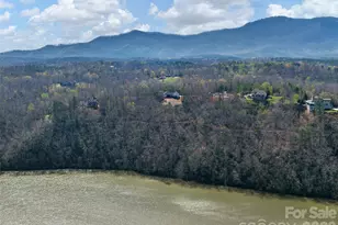 3244 Lake Adger Pkwy, Mill Spring, NC 28756 - Photo 39