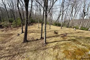 288 Willow Ln, Rosman, NC 28772 - Photo 5