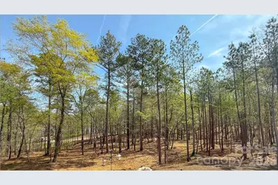 8333 Catawba Cove Drive, Belmont, NC 28012 - Photo 23
