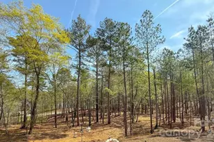 8333 Catawba Cove Dr, Belmont, NC 28012 - Photo 23