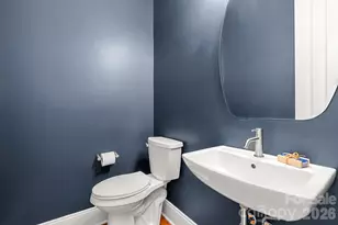 4196 Crepe Ridge Dr, Denver, NC 28037 - Photo 23