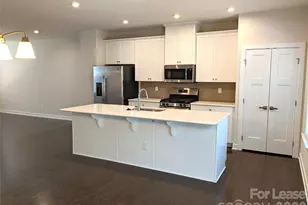 3051 Salix Bend Dr, Charlotte, NC 28205 - Photo 3