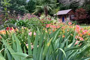 1804 Riva Ridge Ct, York, SC 29745 - Photo 33