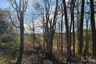 0000 Silver Rd, Oakboro, NC 28129 - Photo 1