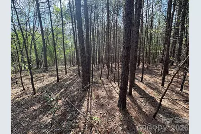 2228 Sam Newell Road, Matthews, NC 28105 - Photo 3