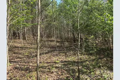 2228 Sam Newell Road, Matthews, NC 28105 - Photo 5