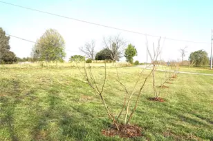 6591 George Hildebran School Rd, Hickory, NC 28602 - Photo 5