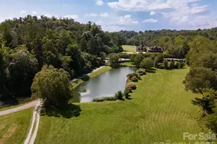 20 Waterford Lakes Dr, Fletcher, NC 28732 - Photo 41