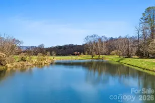 20 Waterford Lakes Dr, Fletcher, NC 28732 - Photo 3