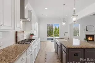 1017 Lydgate Dr, Waxhaw, NC 28173 - Photo 19