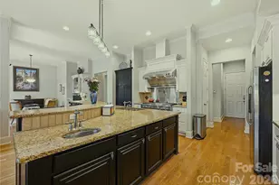 163 W Maranta Rd, Mooresville, NC 28117 - Photo 13