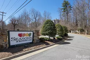 900 Vista Lake Dr, Candler, NC 28715 - Photo 27