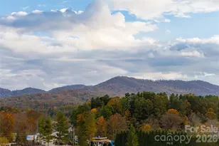 249 Fairway Dr, Asheville, NC 28805 - Photo 37