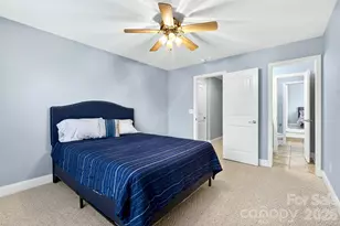 717 Black Wolf Run, Spartanburg, SC 29306 - Photo 29