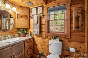 256 Bear Branch Rd, Hendersonville, NC 28792 - Photo 23