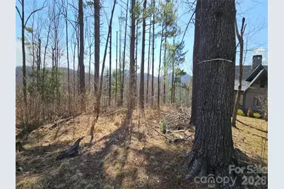 189 Dancing Bear Drive, Hendersonville, NC 28792 - Photo 9