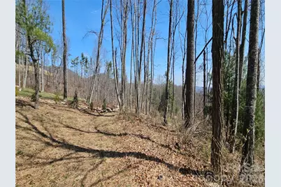 189 Dancing Bear Drive, Hendersonville, NC 28792 - Photo 3