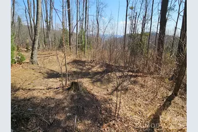 189 Dancing Bear Drive, Hendersonville, NC 28792 - Photo 7