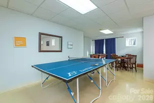 171 Wilson Ct, Lake Lure, NC 28746 - Photo 29