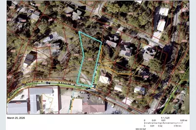 9 Woodbine Road, Asheville, NC 28804 - Photo 3