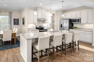 3954 Kelton Wy, Charlotte, NC 28216 - Photo 3