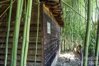 1293 Lake Logan Road, Canton, NC 28716 - Photo 17