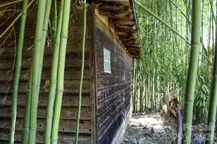 1293 Lake Logan Rd, Canton, NC 28716 - Photo 17