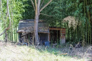 1293 Lake Logan Rd, Canton, NC 28716 - Photo 3