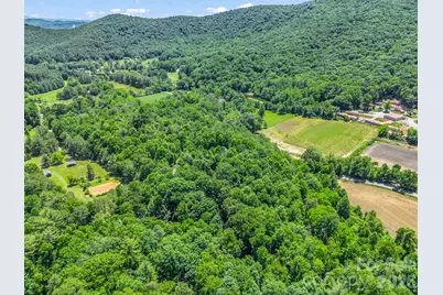 144 Old Homeplace Lane, Mills River, NC 28759 - Photo 43