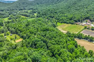 144 Old Homeplace Ln, Mills River, NC 28759 - Photo 43
