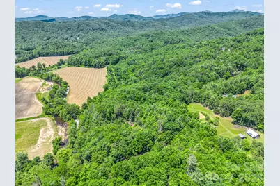 144 Old Homeplace Lane, Mills River, NC 28759 - Photo 41