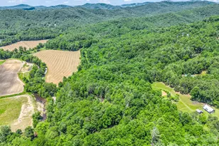 144 Old Homeplace Ln, Mills River, NC 28759 - Photo 41