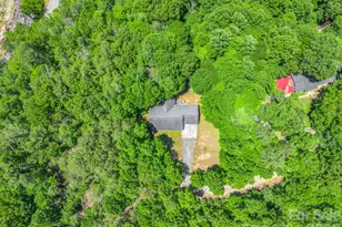 144 Old Homeplace Ln, Mills River, NC 28759 - Photo 39