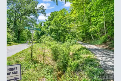 144 Old Homeplace Lane, Mills River, NC 28759 - Photo 37