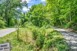 144 Old Homeplace Ln, Mills River, NC 28759 - Photo 37