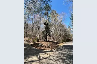 Lot 51 Fairway Drive #51, Lake Lure, NC 28746 - Photo 5