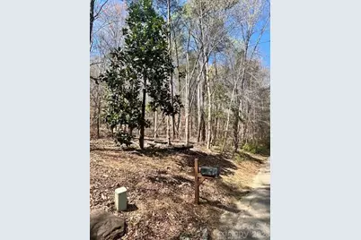 Lot 51 Fairway Drive #51, Lake Lure, NC 28746 - Photo 3